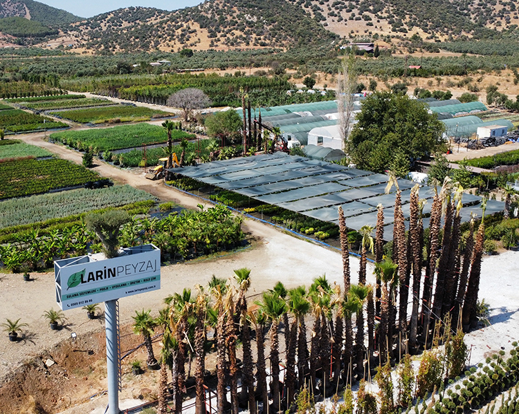 Welcome banner Image